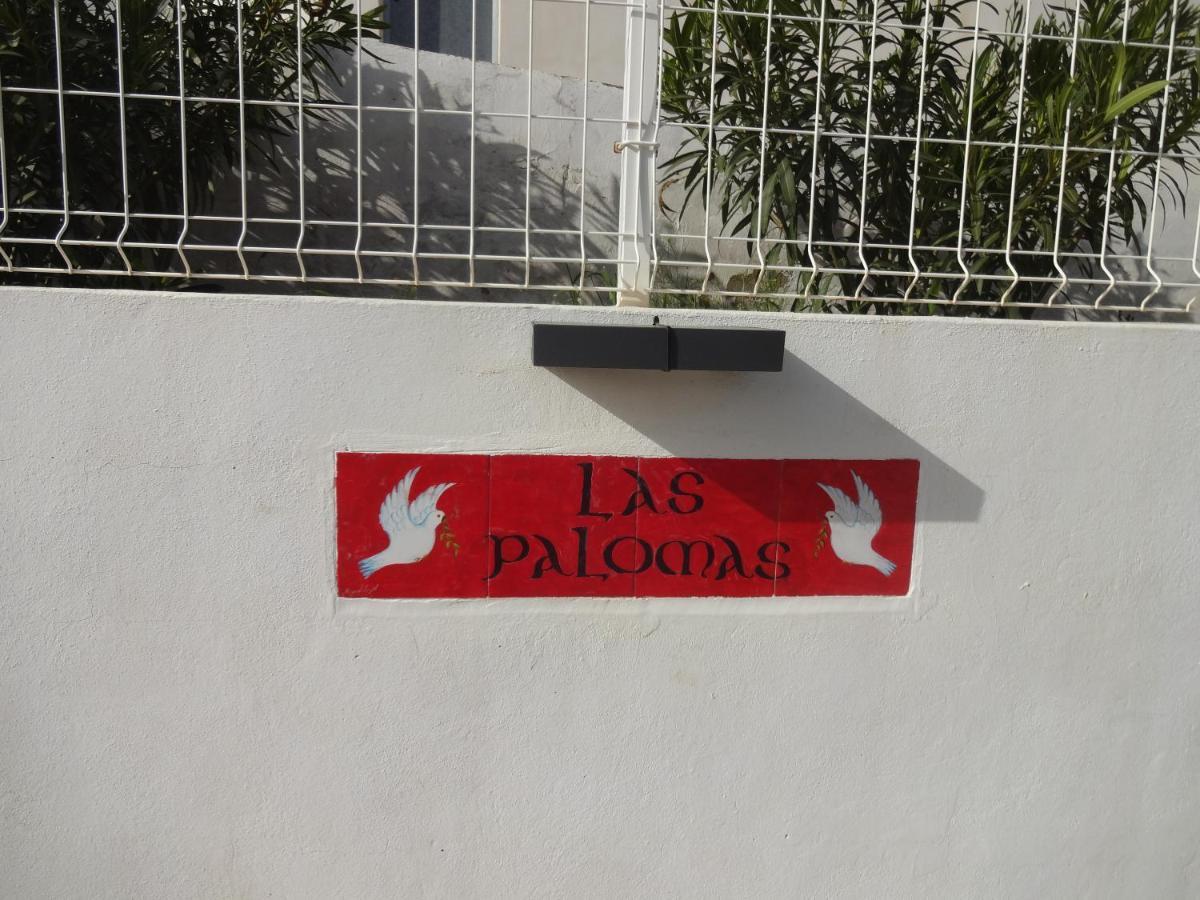 Las Palomas, Appartement 3 Chambres Avec Piscine Turís Exterior foto